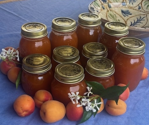 marmellata albicochhe